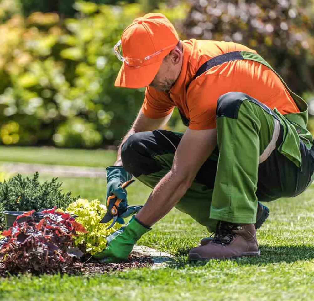 Landscape Services
